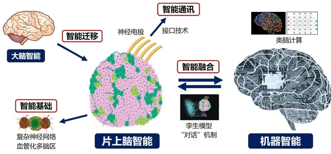 宇树科技科创板IPO过会；英特尔18A制程CPU首秀与英伟达同台竞技｜数智早参(图1)